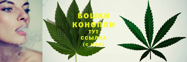 спайс Беломорск